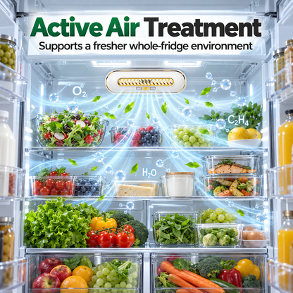 Refrigerator Freshness Purifier