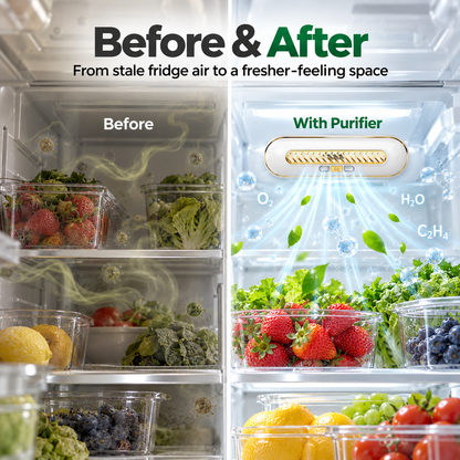 Refrigerator Freshness Purifier